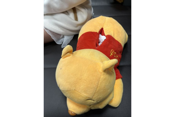 Интервью с Софией Сарновской: тренировки у Плющенко, кумиры, Александра Трусова, Анна Щербакова, братья, четверные прыжки